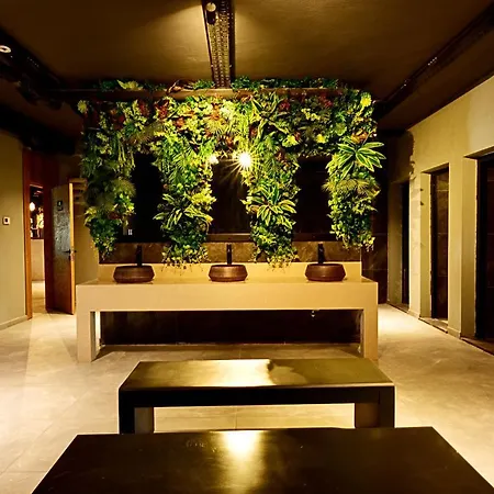 Jasmin Elite & 公寓式酒店 居姆贝特